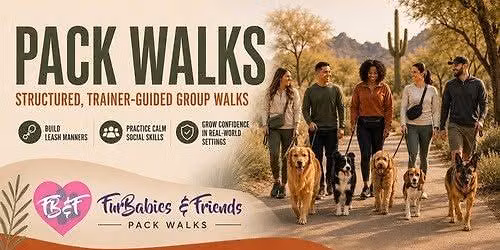 Group Dog Pack Walk for Leash Manners & Socialization - 11\/12\/26 - 6:30pm