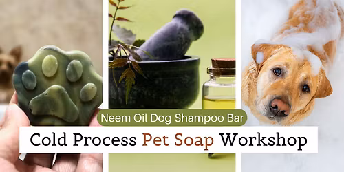 Cold Process Pet Soap | Dog Shampoo Bar Workshop - PH-Balanced Recipe