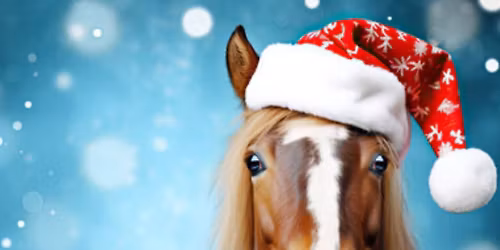 Christmas \ud83c\udf84 Auction