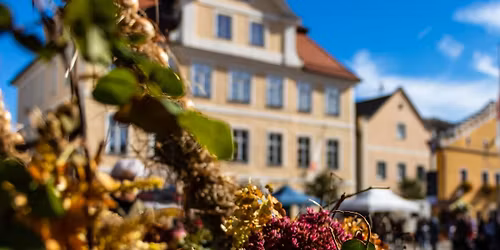 12. Bayerischer Zwiebelmarkt 