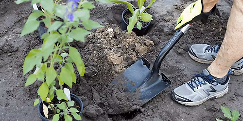 Foundation of a Healthy Garden @ Rotary Park