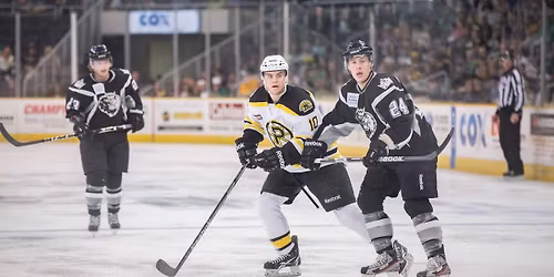 Providence Bruins