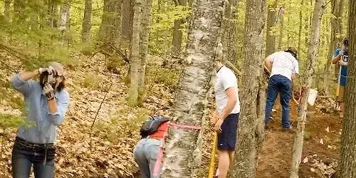 Zip, Musky, and Sucker Springs clean up!