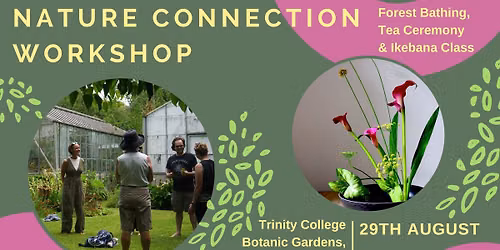Nature Connection Workshop - Forest Bathing and Ikebana Class