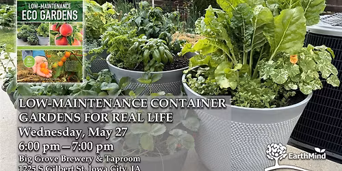 Low-Maintenance Container Gardens for Real Life