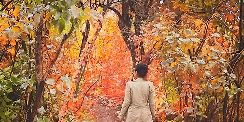 Walk Maryland - Walk and Wellness Event (In Person)