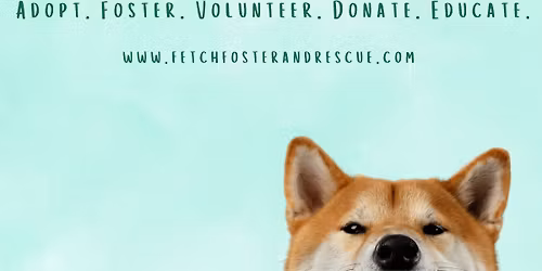 Barks, Brisket & Early Christmas Cheer