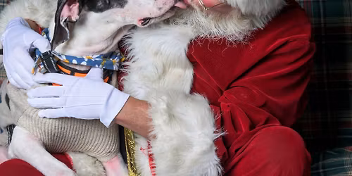 Pet photos with Santa