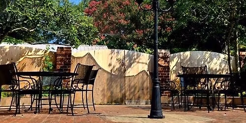 Widlflower's Thanksgiving Buffet 