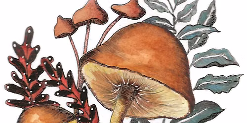 Whimsical Woodlands Watercolor