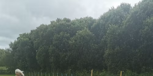 Club competition - league 1\/4