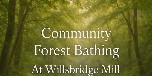 Community Forest Bathing