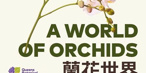 Taiwan: A World of Orchids Exhibition at Queens Botanical Garden