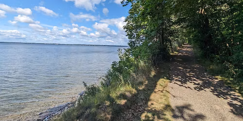 End of Summer Serenity Stroll 
