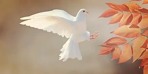 Medial utvecklingskurs med USF och Fredrik Haglund