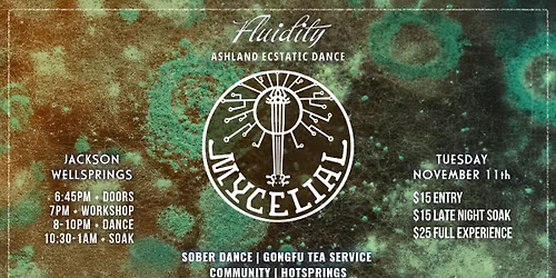 Mycelial at Fluidity: Ashland Ecstatic Dance