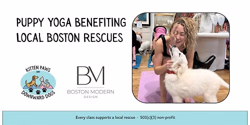 Halloween Puppy Yoga at Boston Modern