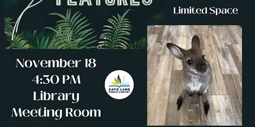 Creature Features: Wallaby