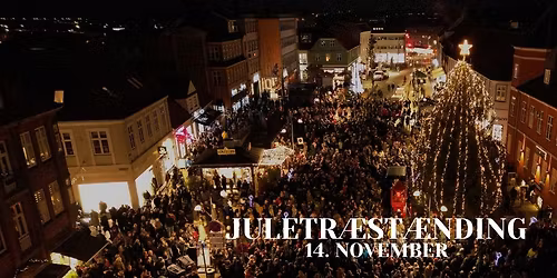 \ud83c\udf84 Juletr\u00e6st\u00e6nding i Holb\u00e6k \ud83c\udf85