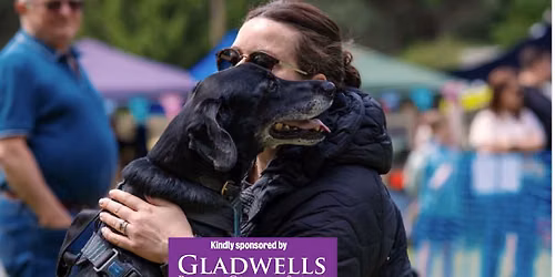 Bury St Edmunds Fun Dog Show