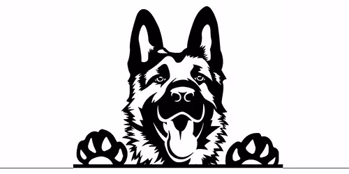 Meet & Greet at Tomlinson's - Bar W