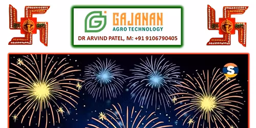 \ud83c\udf39New Year\ud83c\udf39