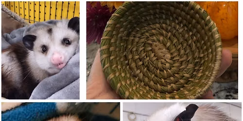Weaving with an Opossum