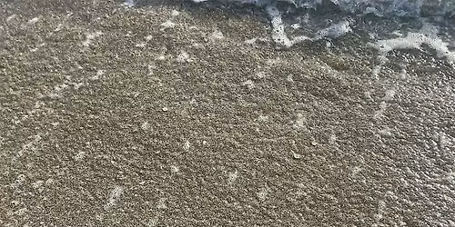 Sea Turtle Nest Excavations