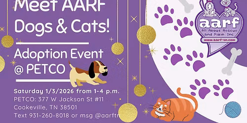 Meet AARF Dogs & Cats - January Adoption Event at Petco