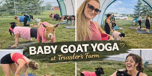 BABY GOAT YOGA at Trussler's Farm