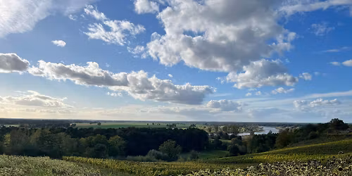 Introduction to the Wines of Poland - Masterclass