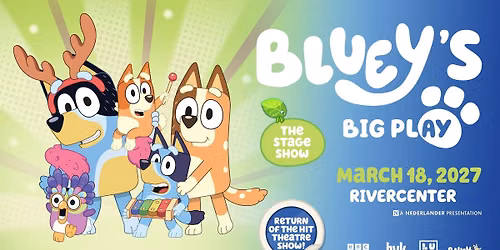 Bluey's Big Play