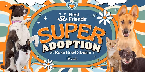LA Super Adoption
