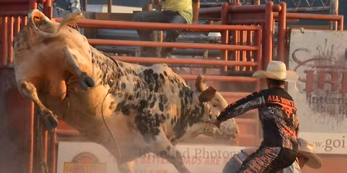 Bullriding!