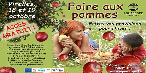 Foire aux pommes