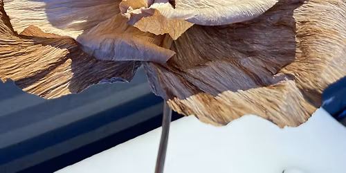 Workshop pappersblommor