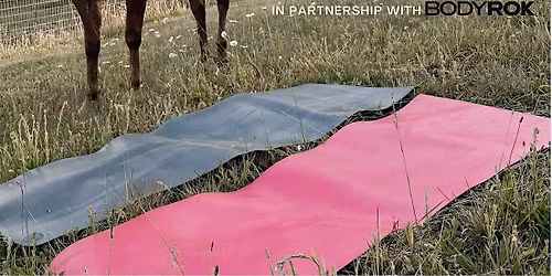 Rescue Ponies & Pilates