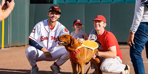 Bark in the Park