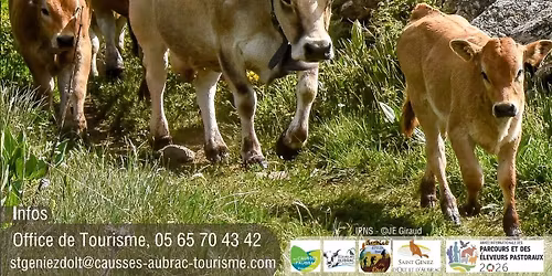 F\u00eate et Marches de l'Estive 