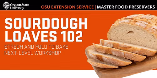 Sourdough Loaves 102