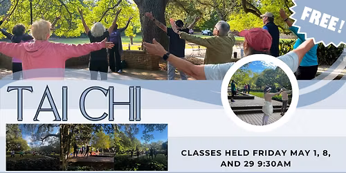Tai Chi in Hopelands