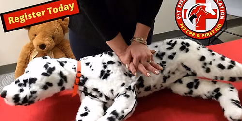 Pet CPR and First Aid Certification Class Murfreesboro, TN
