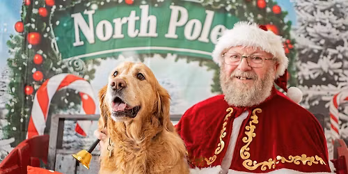 Santa Paws Photoshoot in Aid of Guide Dogs