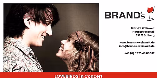 LOVEBIRDS in CONCERT