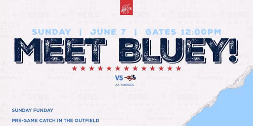BLUEY | VS SOMERSET PATRIOTS (AA YANKEES)