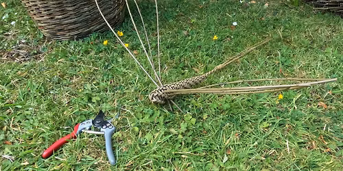 Willow Workshops Wednesday 27th May 