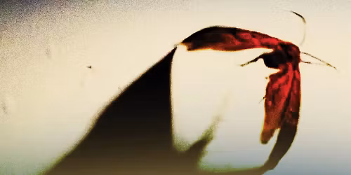 Scowl, End It, Secret World in Penrith