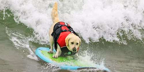 World Dog Surfing Exhibition Tour: Pismo Beach 2026, presented by Chef's Pure Pet
