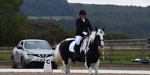 Dressage Competition