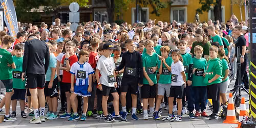 39. Várpalotai félmaraton